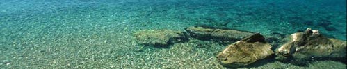 Croatian