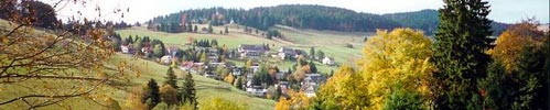 German