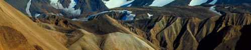 Icelandic