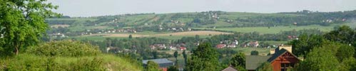 Polish